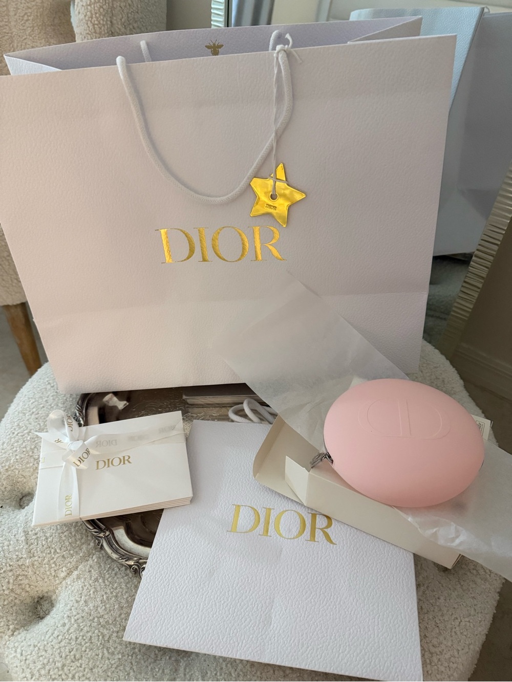Dior Pink Round Silicone Case with Embossed CD, Big and small Dior bags 5 cards